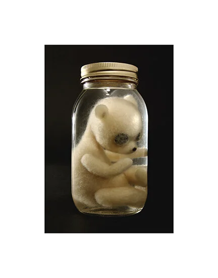 Teddy Bear Fetus 14 x 11 inch Matted Print — Stephanie Metz